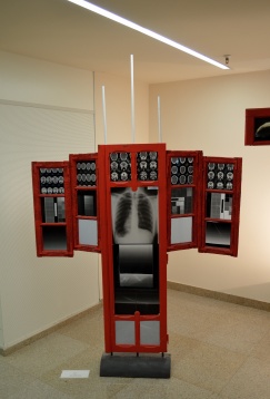 Bogdan Turcea // Sacra Furor (Don Quixote)