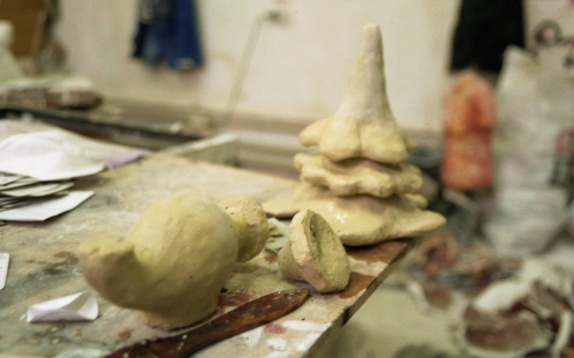 David Tăicuțu // Ciușmea