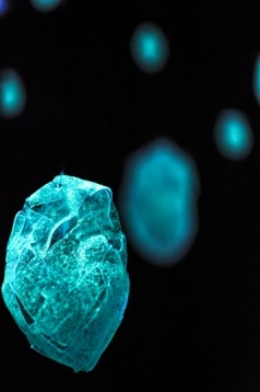 Denis Simion // Anima