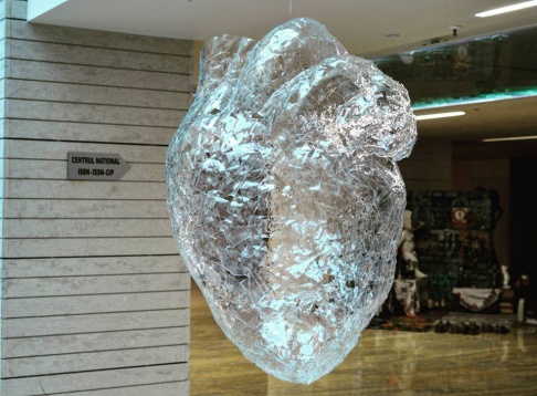 Denis Simion // Anima