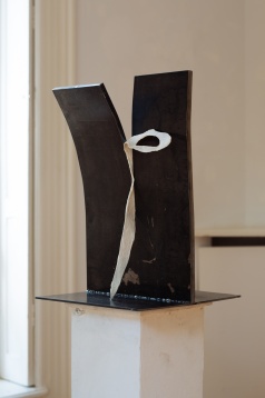 Laszlo Forray // Organic/Inorganic