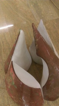 Lia Munteanu // Semințe