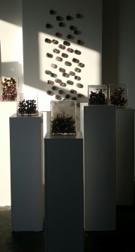 Marina Aristotel // De-a v-ați ascunselea