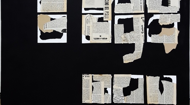 Oana Văduva // Detalii îmbinate