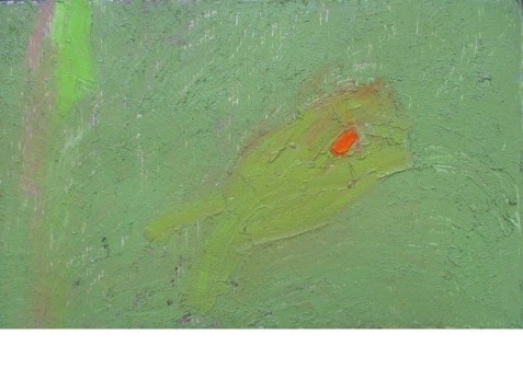 Ramona Ursache // Termeni 