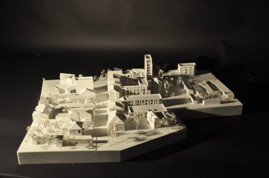 Andra Paris Nestea // Locuire pe strada Ferdinand