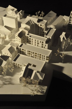 Andra Paris Nestea // Locuire pe strada Ferdinand