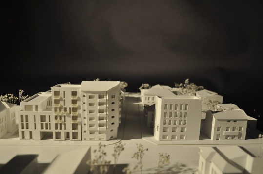 Andra Paris Nestea // Locuire pe strada Ferdinand