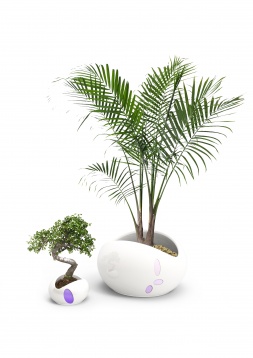 Ioana Anghelescu // Green Vibes - ghivece inteligente cu feedback 