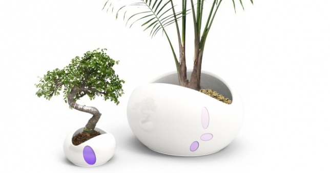 Ioana Anghelescu // Green Vibes - ghivece inteligente cu feedback 