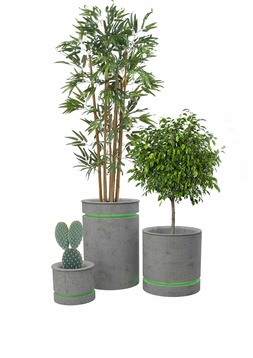 Ioana Anghelescu // Green Vibes - ghivece inteligente cu feedback 