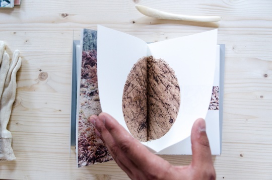 Mihai Popescu // Expediția