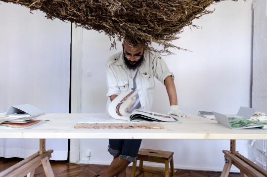 Mihai Popescu // Expediția