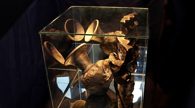 Marius Stanciu // Ceramică Experimentală