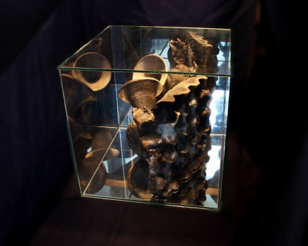 Marius Stanciu // Ceramică Experimentală