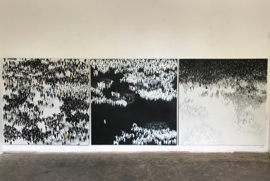 MIRCEA CONSTANTINESCU // ANTS