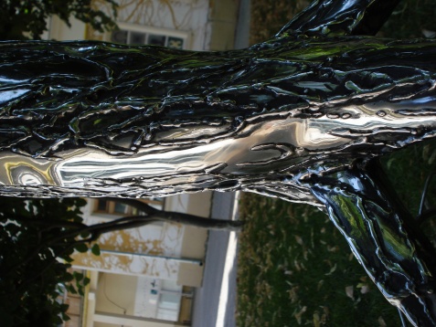 OANA CRĂCIUNESCU // NEBĂNUITELE TREPTE