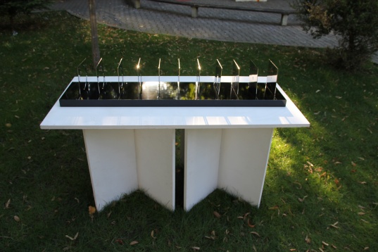 OANA CRĂCIUNESCU // NEBĂNUITELE TREPTE