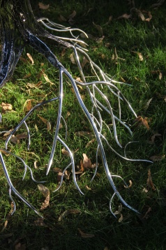 OANA CRĂCIUNESCU // NEBĂNUITELE TREPTE