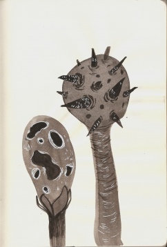 RALUCA TUDOR // PLANTOPIA