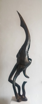 SERGIU MITREA // ACVATERUS