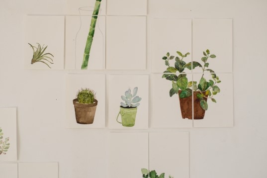 SILVIANA STINGHIE // PORTRETE BOTANICE