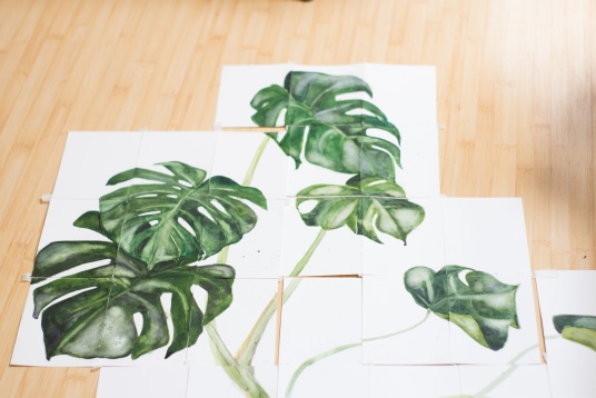 SILVIANA STINGHIE // PORTRETE BOTANICE