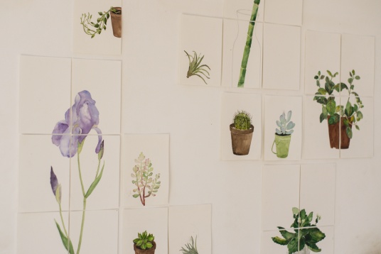 SILVIANA STINGHIE // PORTRETE BOTANICE