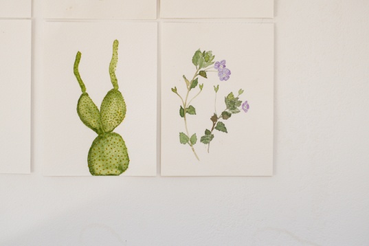 SILVIANA STINGHIE // PORTRETE BOTANICE