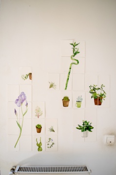 SILVIANA STINGHIE // PORTRETE BOTANICE