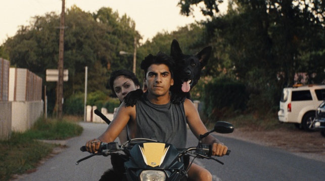 Marii câștigători de la Cannes, în premieră în România la Les Films de Cannes à Bucarest