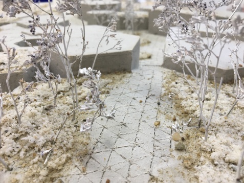 Diana Stegaru // DIPLOMA și ștergerea barierelor profesionale