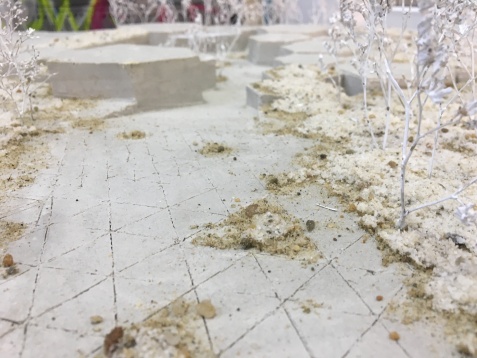 Diana Stegaru // DIPLOMA și ștergerea barierelor profesionale