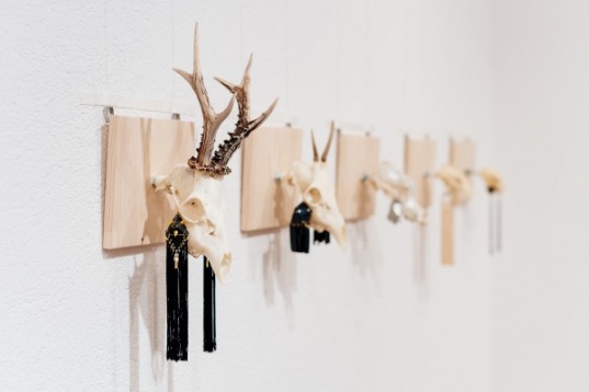 Design Week@Sfântu Gheorghe