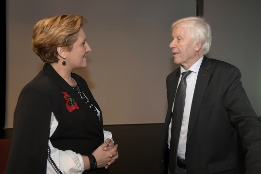 Proiecții ale culturii române în cultura europeană