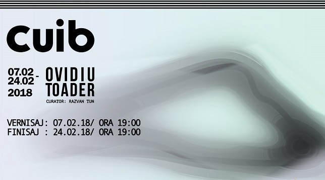 Se deschide expoziția „Cuib” semnată de artistul Ovidiu Ștefan Toader