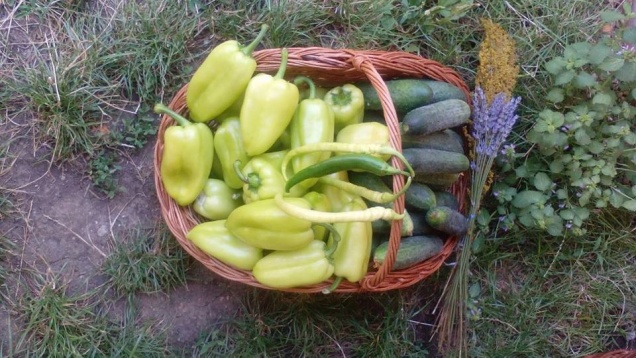 Pe harta Cartierului Creativ // Băcănia Earth Food