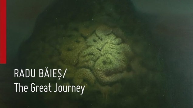 Expoziție personală a artistului Radu Băieș @ Galeria Sector1