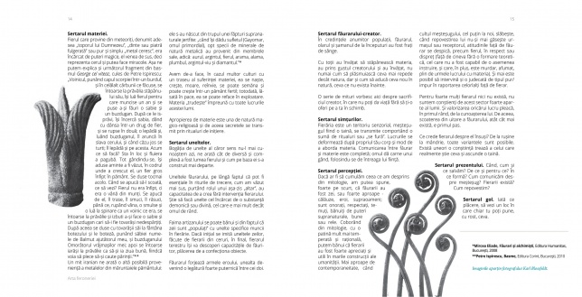 ALEXANDRA MIHAILCIUC & ANDREI TACHE 