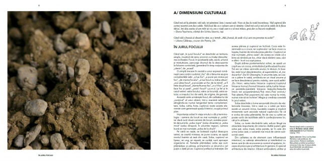 ALEXANDRA MIHAILCIUC & MONA PETRE & MIRELA DUCULESCU 