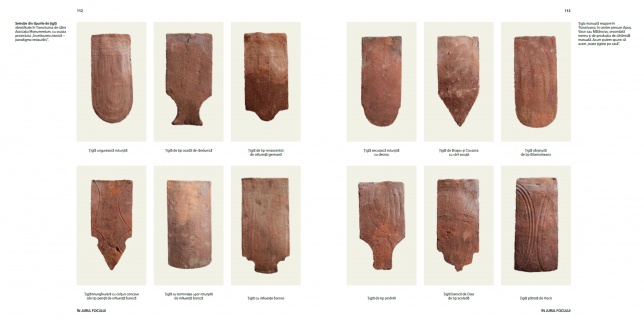 ALEXANDRA MIHAILCIUC & MONA PETRE & MIRELA DUCULESCU 