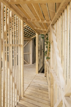 CAMPOSAZ + WWF ROMANIA 