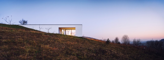 FILOFI AND TRANDAFIR ARCHITECTURE