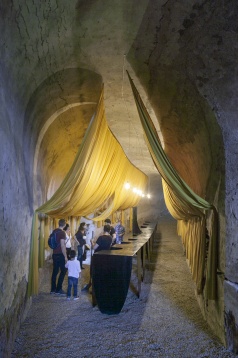 MÂNADELUCRU & VIARCHITECTURE