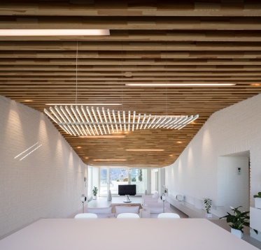 RADU TEACĂ & ANDREEA MARINESCU