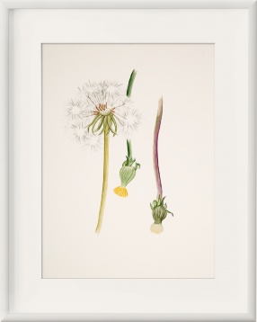 Made in RO – Târg ales de design, cu tema #allNatural, va avea loc pe 12-13 mai