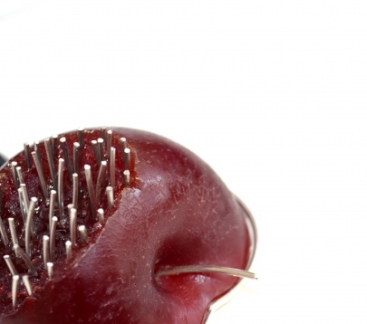 ASSAMBLAGE // REMAINS OF THE FEAST - CONTEMPORARY JEWELRY AND MIXED-MEDIA INSTALLATION 