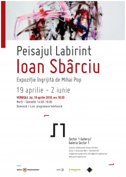 GALERIA SECTOR 1 // SOLO SHOW IOAN SBÂRCIU - PEISAJUL LABIRINT