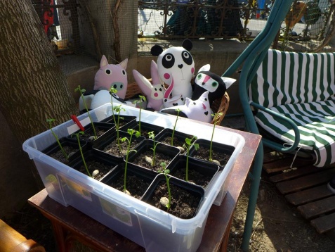 INCOTROCENI // COTROCENI BAZAAR 