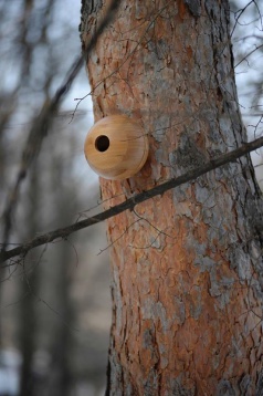 CIPRIAN ANDREI // ATELIER MUSTAȚĂ